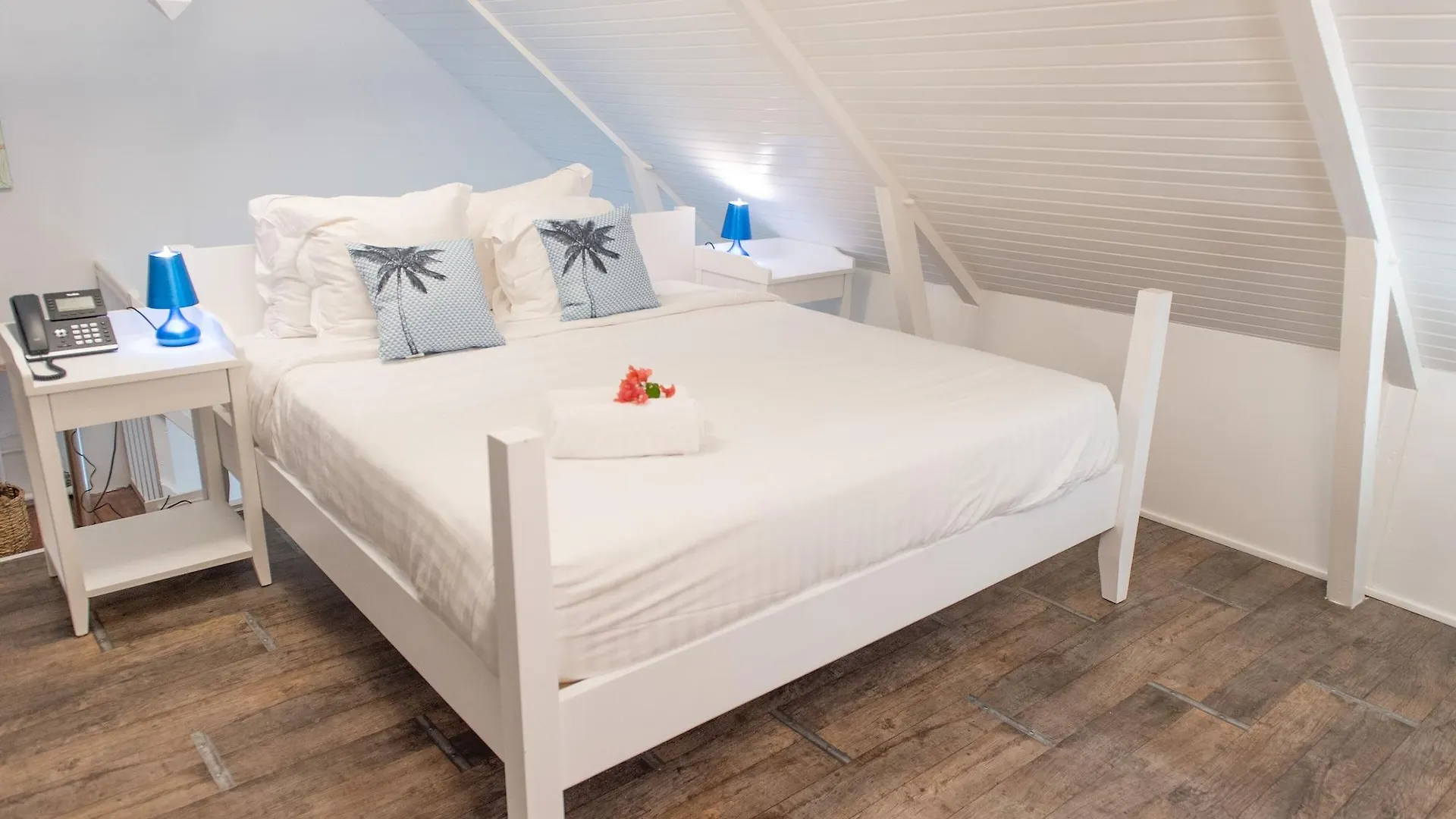 Hotel Hôtel Frégate Bleue Le François